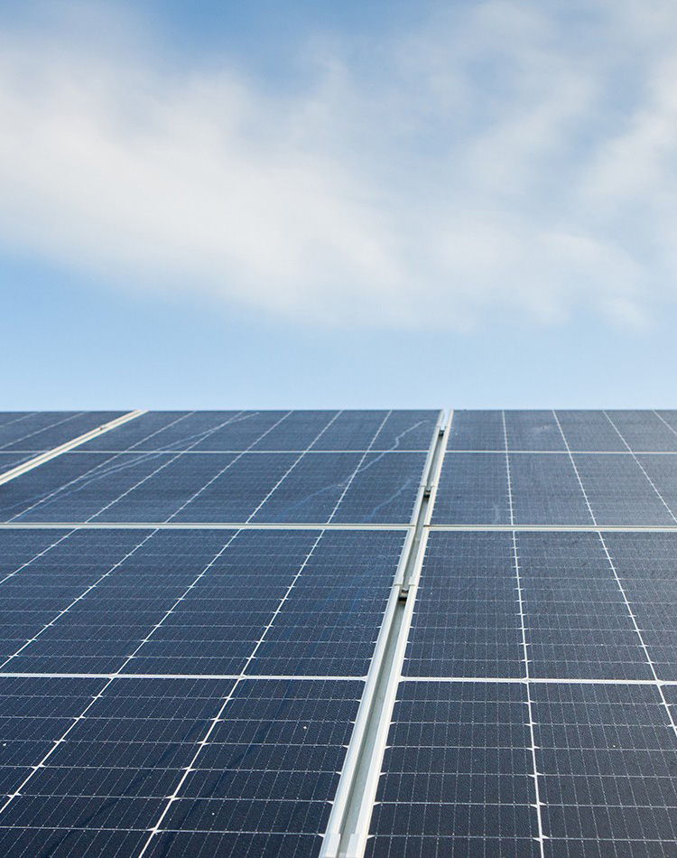 Функционирование